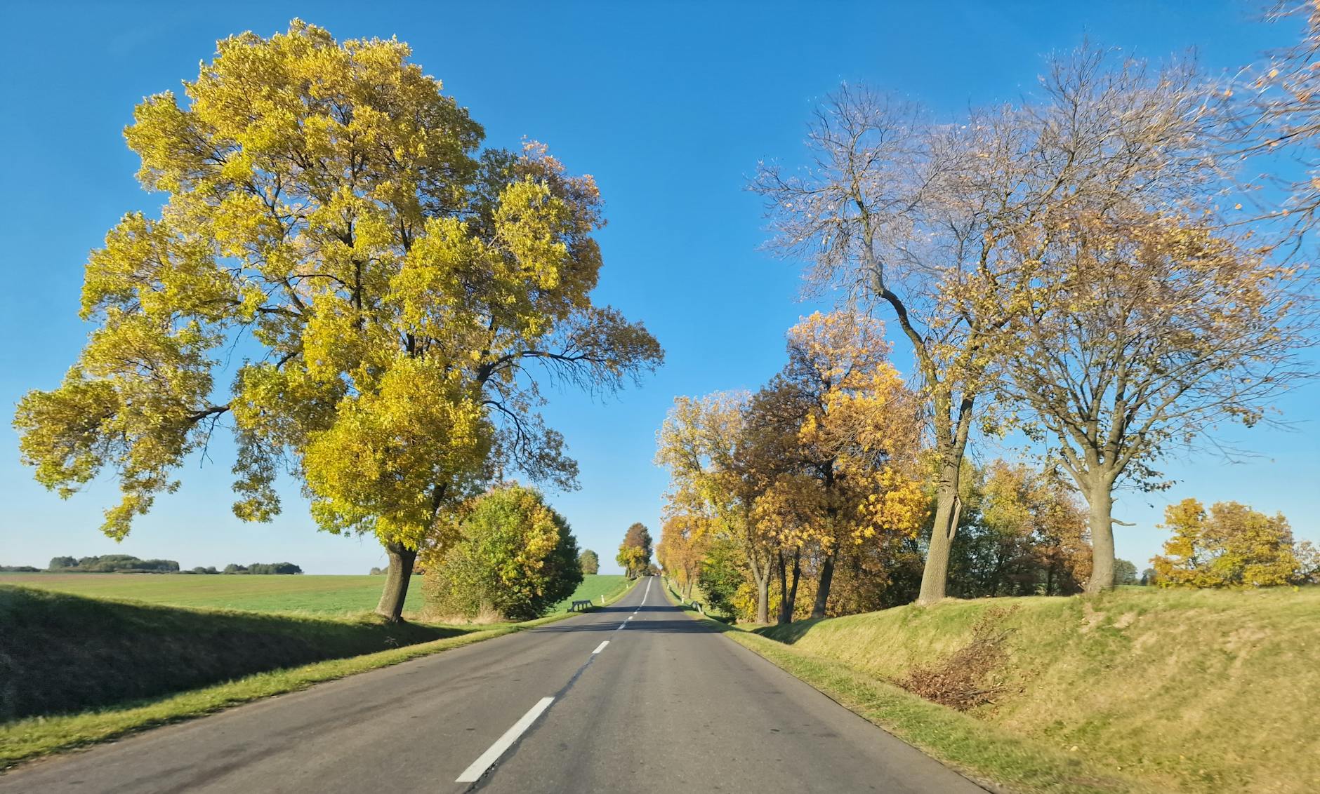 7,9 mln zł na drogi w powiecie tarnowskim